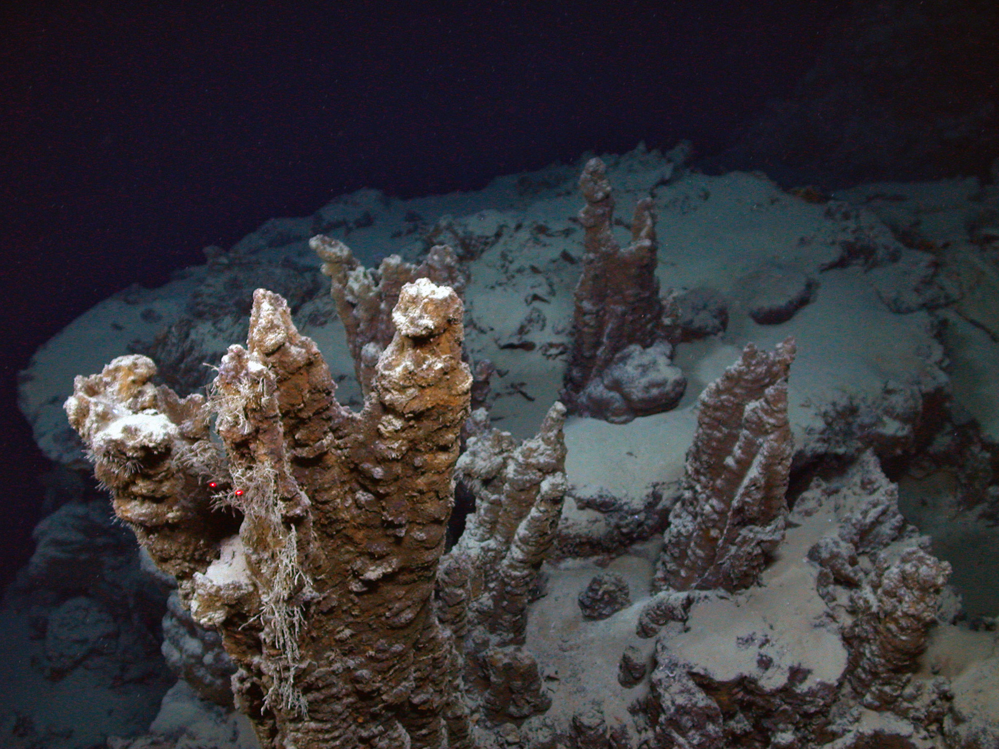 Chimneys found at Piccard hydrothermal vent field.
